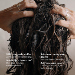 Shampoo 500 ml